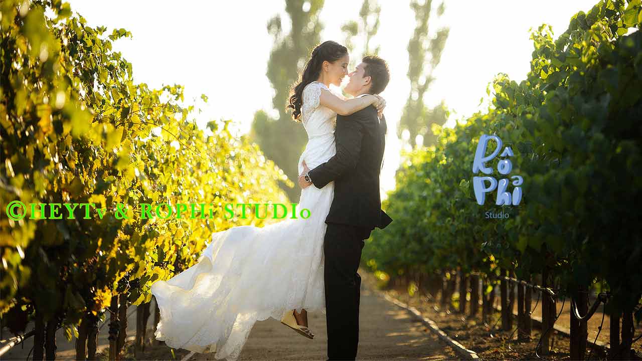 Quay Phim Chụp Hình Tại TPHCM | Chuyên Nghiệp Giá Rẻ | Gò Vấp