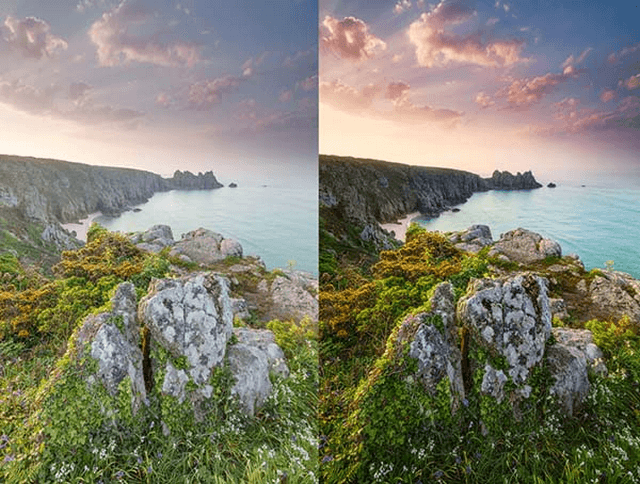 Nghệ thuật chụp ảnh film cho người mới chụp dễ hiểu